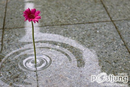 Ripple Flower Vase by Taku Omura