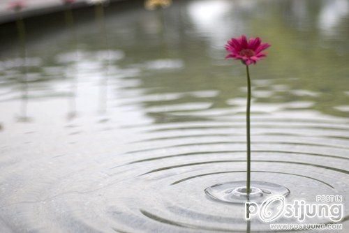 Ripple Flower Vase by Taku Omura
