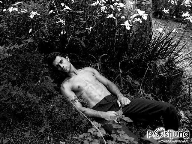 Lineage from the gods