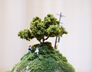 The miniature worlds of Maico Akiba