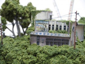 The miniature worlds of Maico Akiba