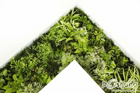 HOUSE VISION 2013 | a bathroom surrounded by green walls and floors