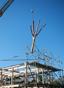 A Landscape of Memories | Garden Tree House by Hironaka Ogawa