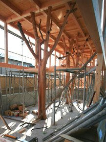 A Landscape of Memories | Garden Tree House by Hironaka Ogawa