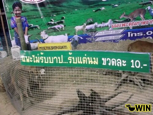 มันขำอ่าาา [ุ6]