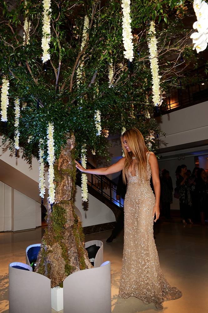 beyonce life is but a dream HBO