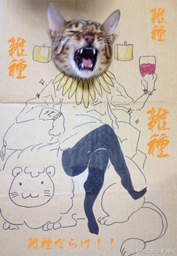 กิ๊บเก๋ เหมียว เหมียว