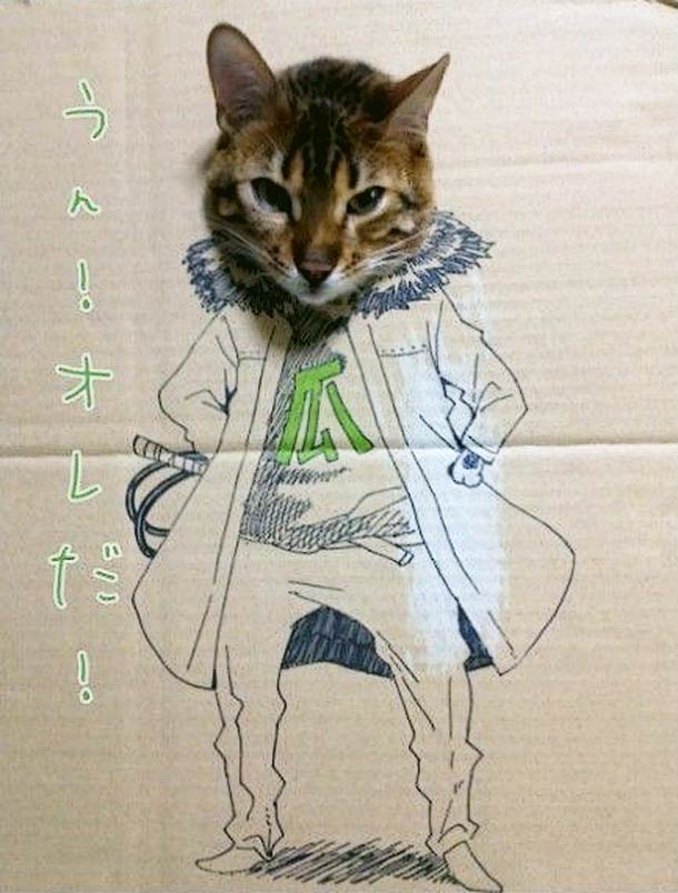 กิ๊บเก๋ เหมียว เหมียว