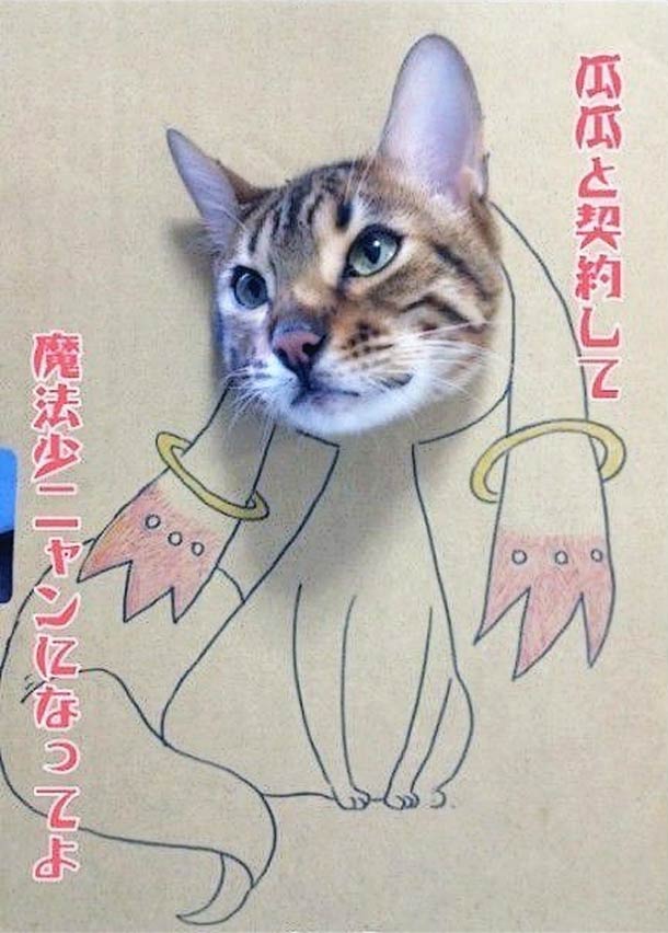 กิ๊บเก๋ เหมียว เหมียว