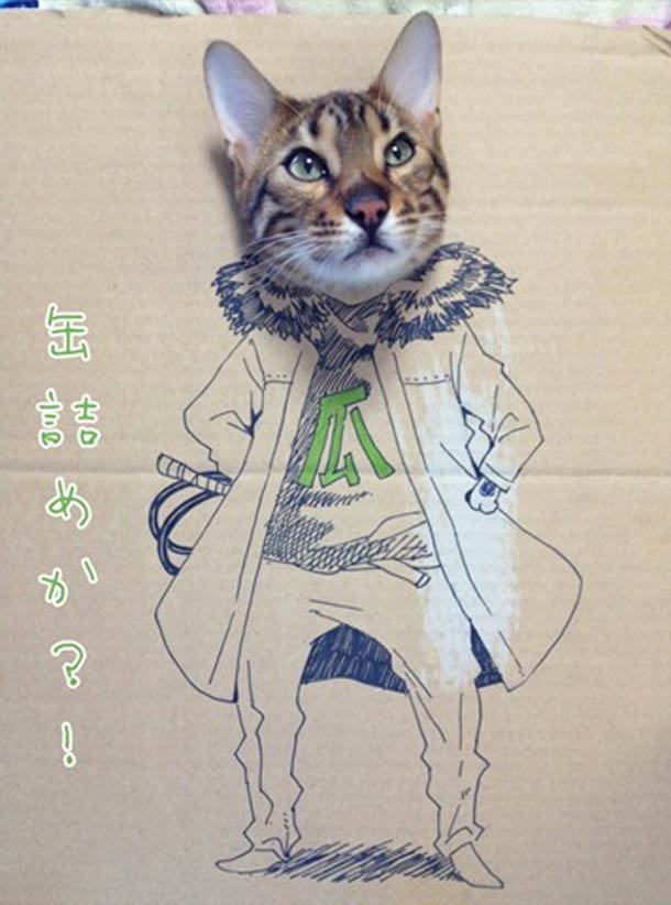 กิ๊บเก๋ เหมียว เหมียว