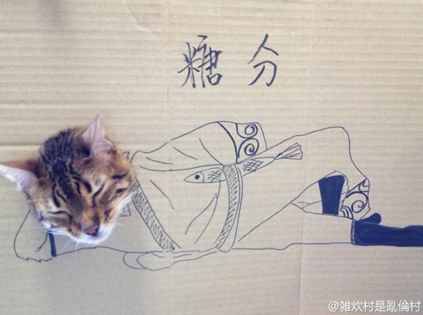 กิ๊บเก๋ เหมียว เหมียว