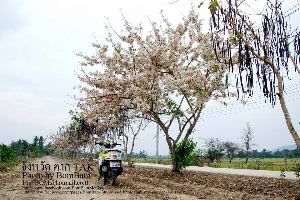 วัดพระพุทธบาทดอยโล้น จ.ตาก