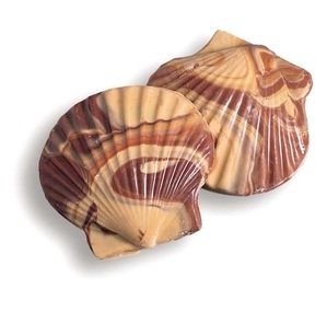 Bulk Chocolates