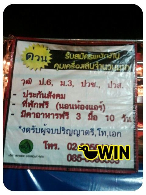 โยนปริญญาของคุณทิ้งไป