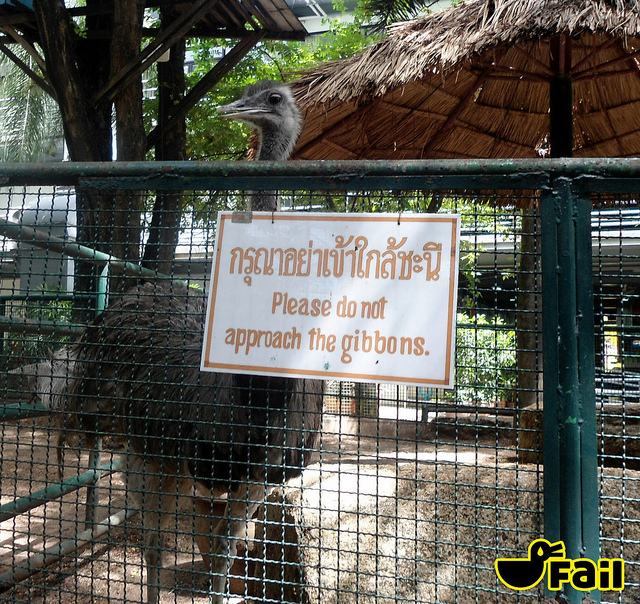 พวกหล่้อนมีสิทธิ์อะไีรมาจ้องหน้าฉันย้ะ