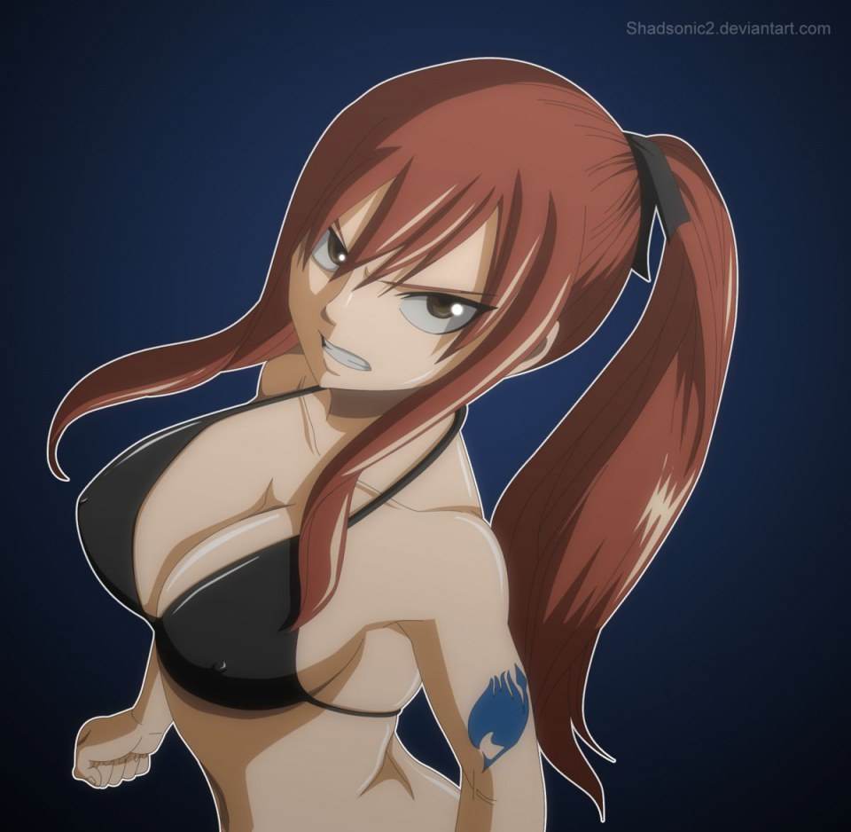 (FAIRY TALE)Erza scarlet by may