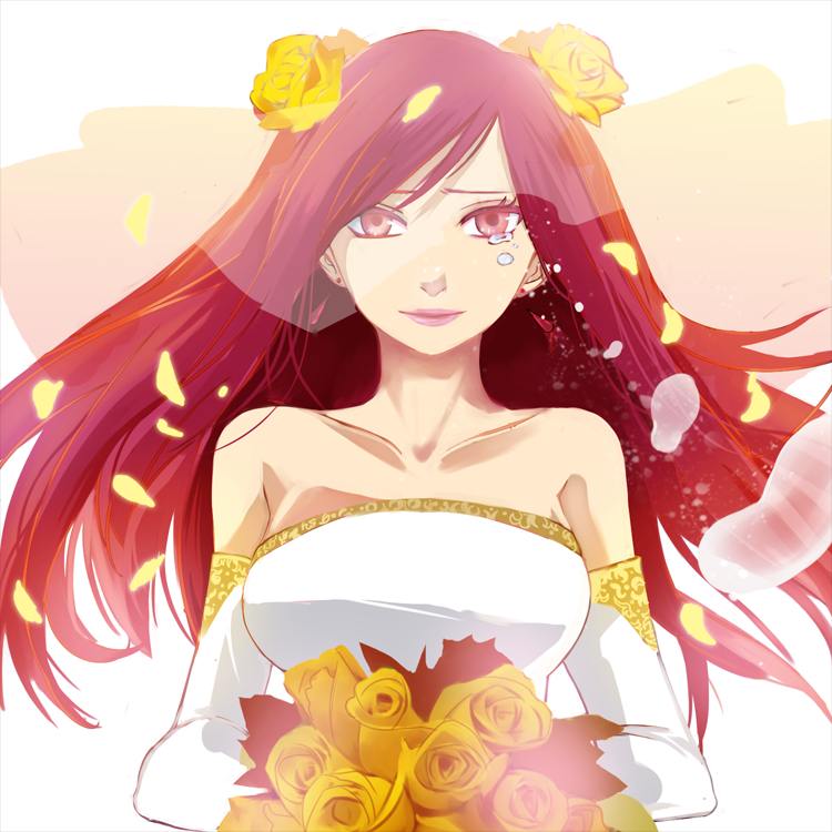 (FAIRY TALE)Erza scarlet by may