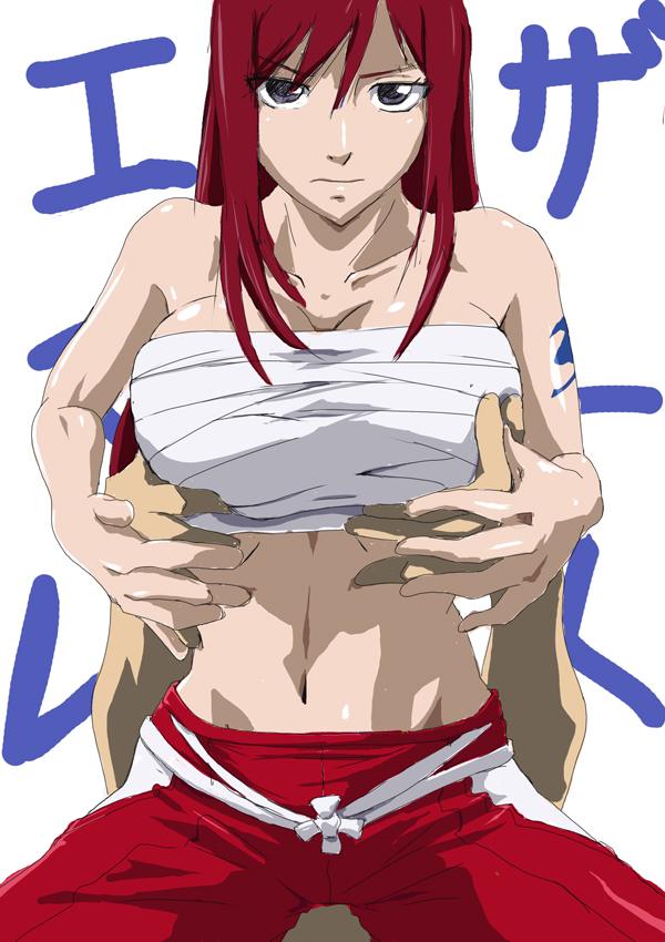 (FAIRY TALE)Erza scarlet by may