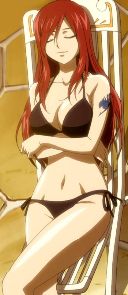 (FAIRY TALE)Erza scarlet by may