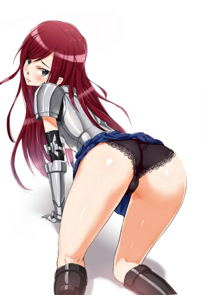 (FAIRY TALE)Erza scarlet by may