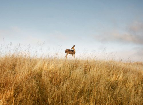 A beautiful World 17