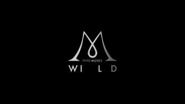 Nine Muses ปล่อยเอ็มวีใหม่ 'WILD' ติดเรต 19