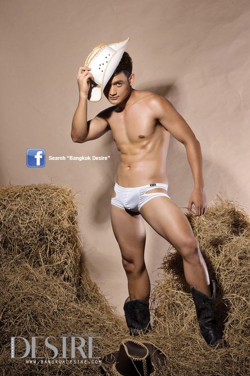 ห่อหมกๆ