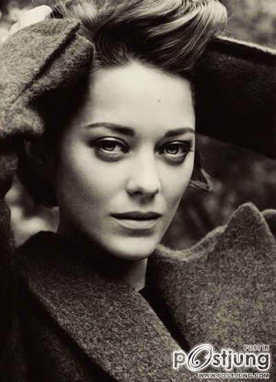 คนรักดาราสาวสวย 022 - Marion Cotillard