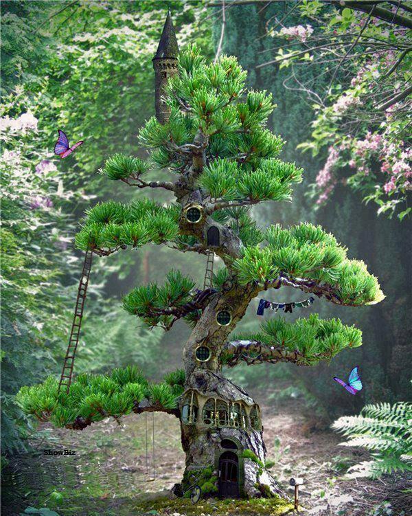 green, tree,nature 2