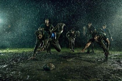 Ricardo Almeida : 2013 collection