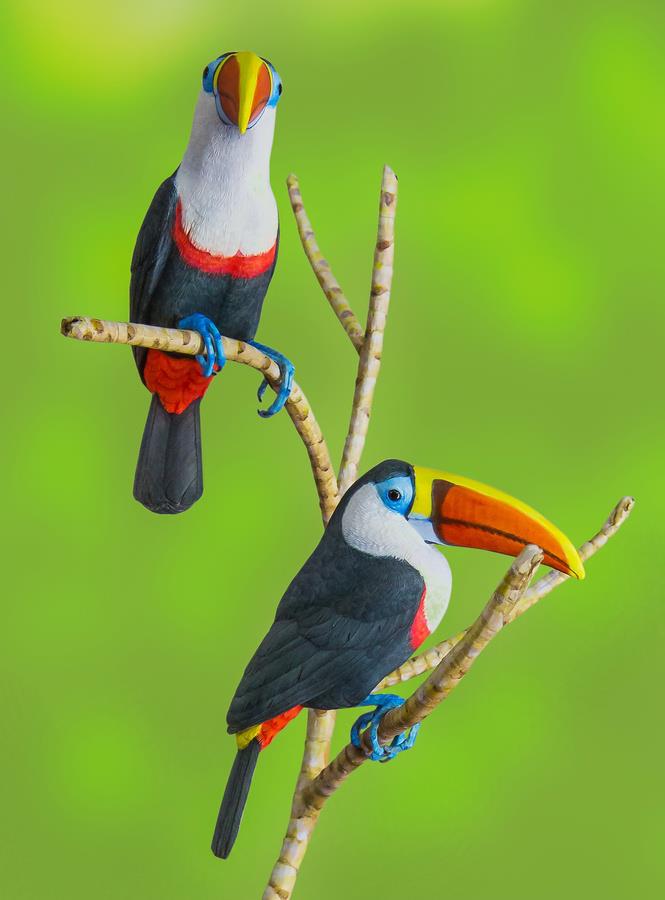 animals 3
