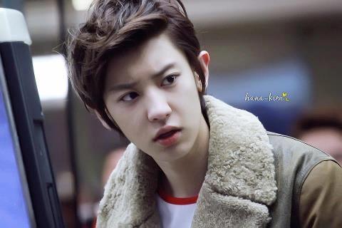 แฮปปี้ไวรัส....ชานยอล~