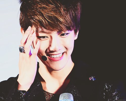 หมาแบ็ค^^