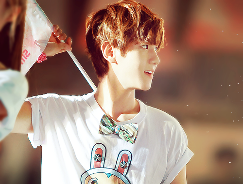 หมาแบ็ค^^