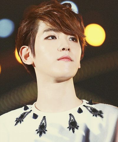 หมาแบ็ค^^