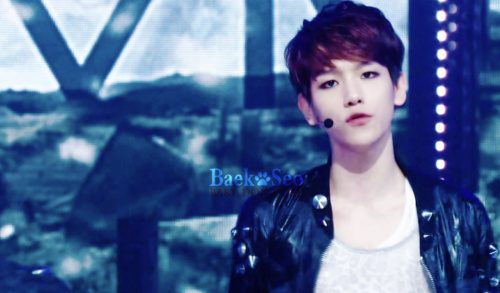 หมาแบ็ค^^