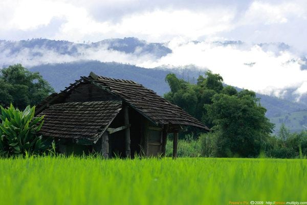 สวยๆต้อนรับฤดูฝนครับ