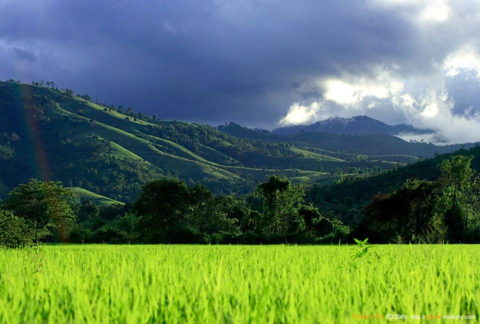 สวยๆต้อนรับฤดูฝนครับ