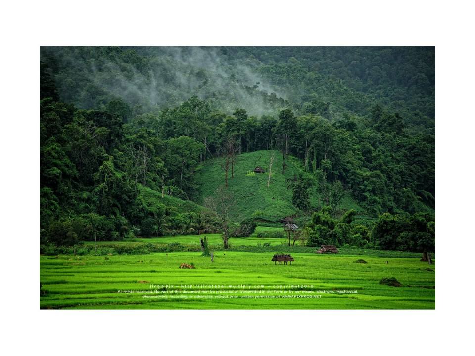 สวยๆต้อนรับฤดูฝนครับ