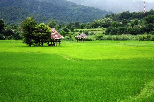 สวยๆต้อนรับฤดูฝนครับ