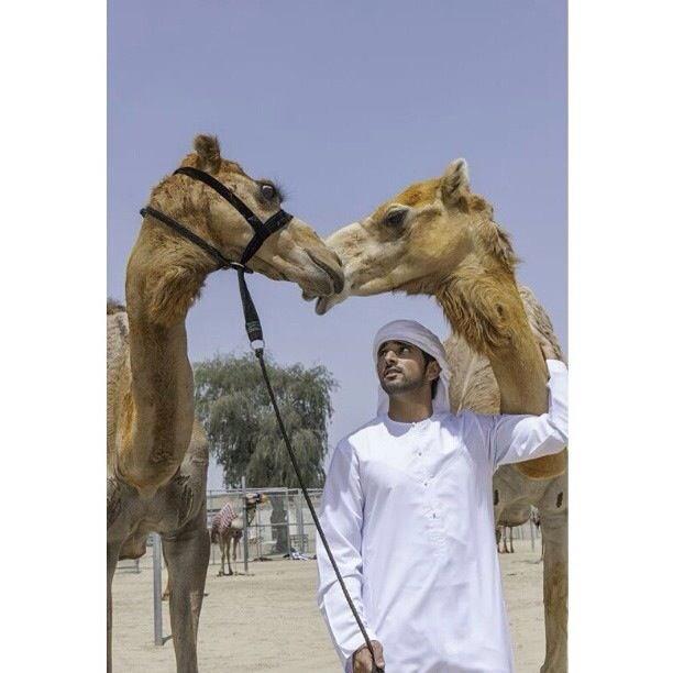 เจ้าชายอาหรับ 1