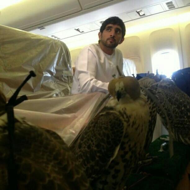 เจ้าชายอาหรับ 1