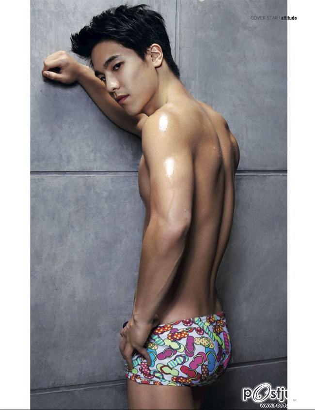 ATTITUDE  vol. 3 no. 27  May 2013