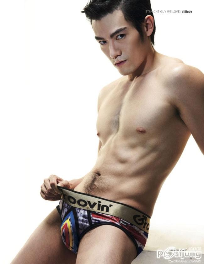 ATTITUDE  vol. 3 no. 27  May 2013