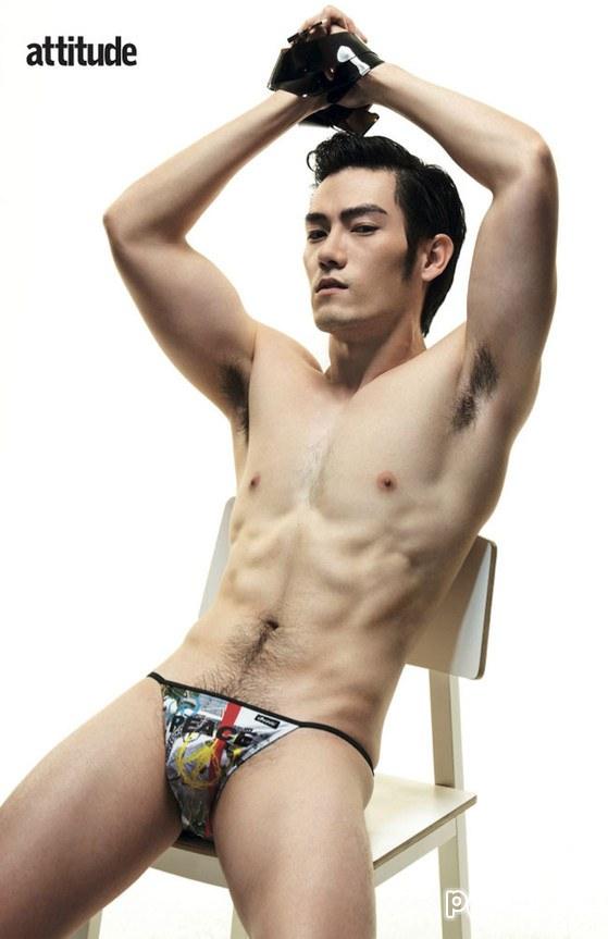 ATTITUDE  vol. 3 no. 27  May 2013