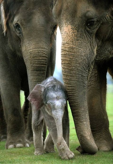 ธรรมชาติ ชวนมองบางภาพก็น่ากลัว