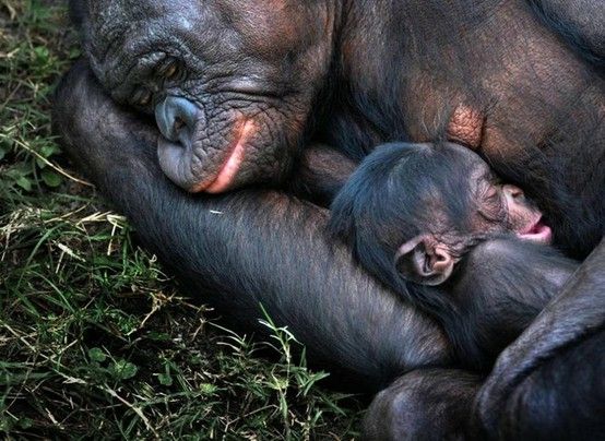 ธรรมชาติ ชวนมองบางภาพก็น่ากลัว