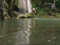 คุณชายรัชชานนท์ เล่นน้ำตกในป่า