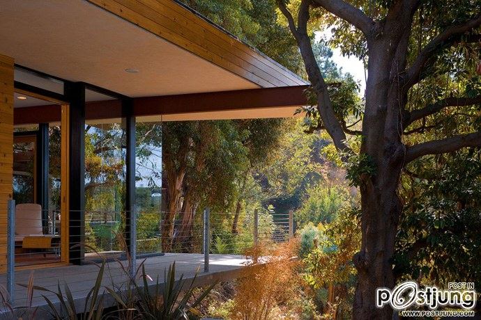 Sycamore House by Aaron Neubert Architects