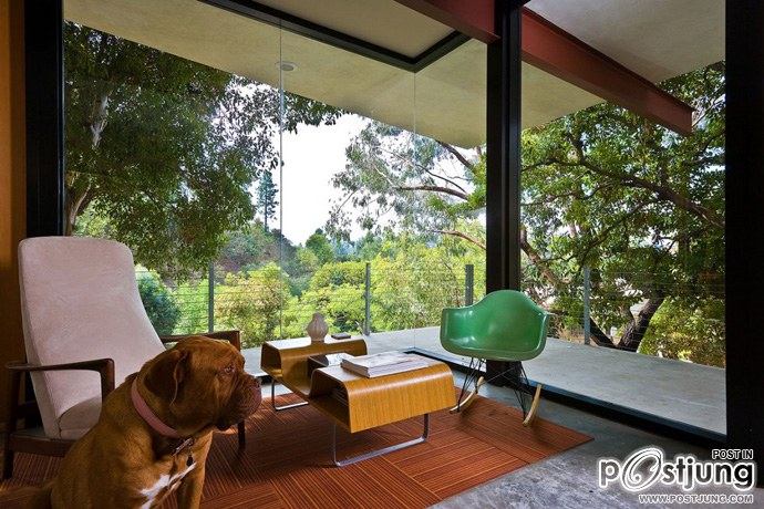 Sycamore House by Aaron Neubert Architects